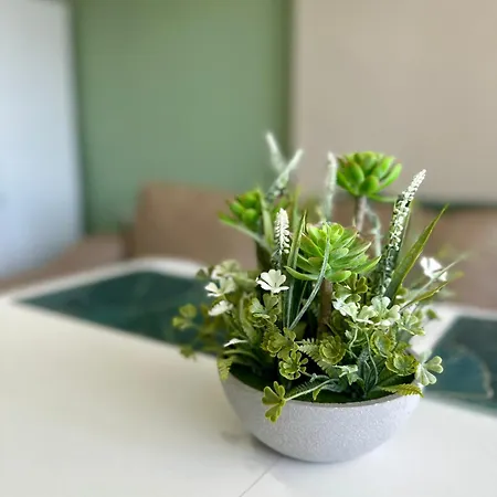 I'm Waiting My Guests !